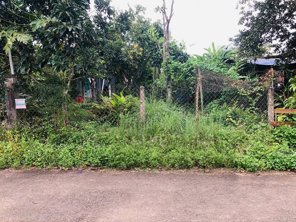 Đất thổ cư Bảo Lộc 198m² giá 1.5 tỷ - Gần Trường cấp 3 Lộc Thành