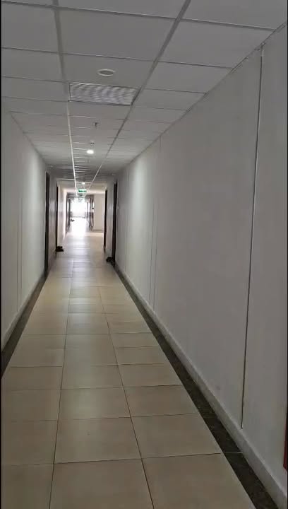 Căn hộ Ecohome Nhơn Bình 60m² giá 720 triệu - Sẵn sàng vào ở!