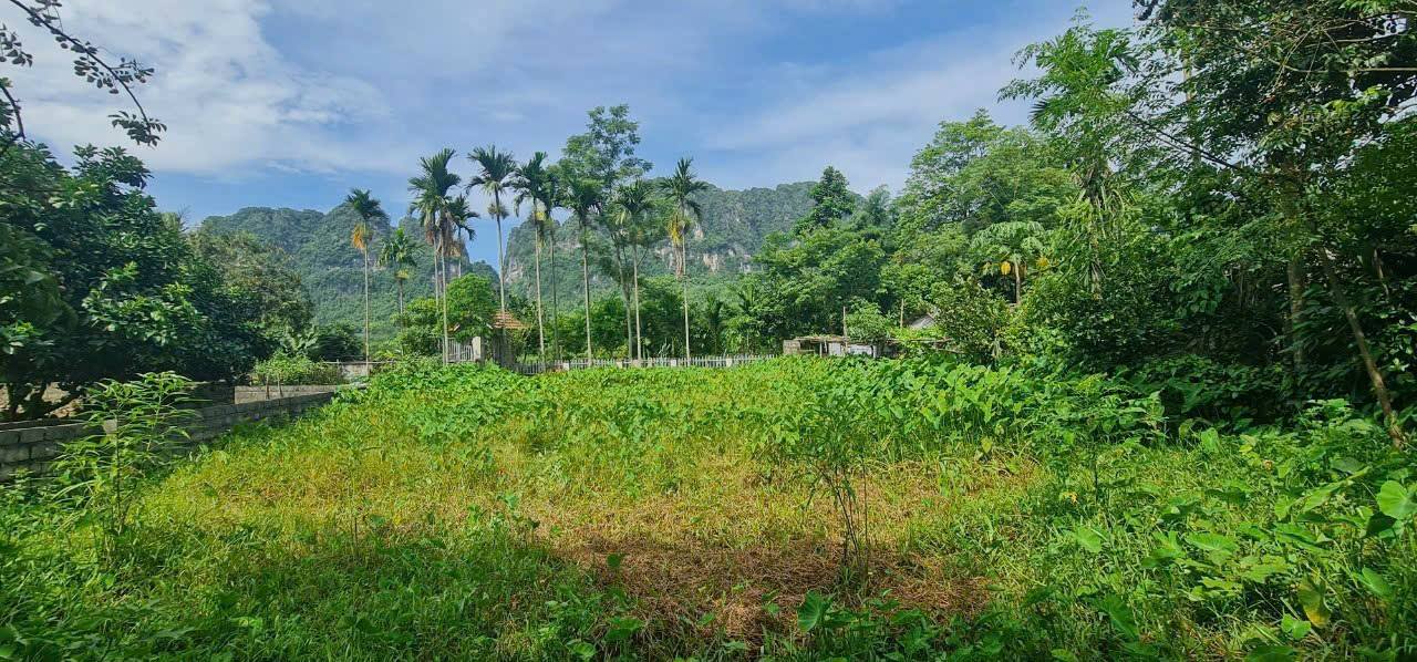 Bán đất xã Lương Sơn, Phú Thọ 521m² giá chỉ 1 tỷ - Sổ đỏ chính chủ