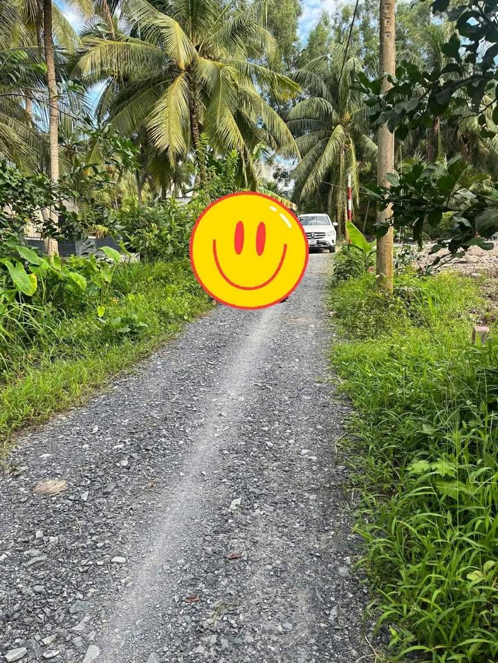 Đất vườn 1550m² tại Vĩnh Bình, Gò Công - Giá 900 triệu, Sổ đỏ chính chủ!