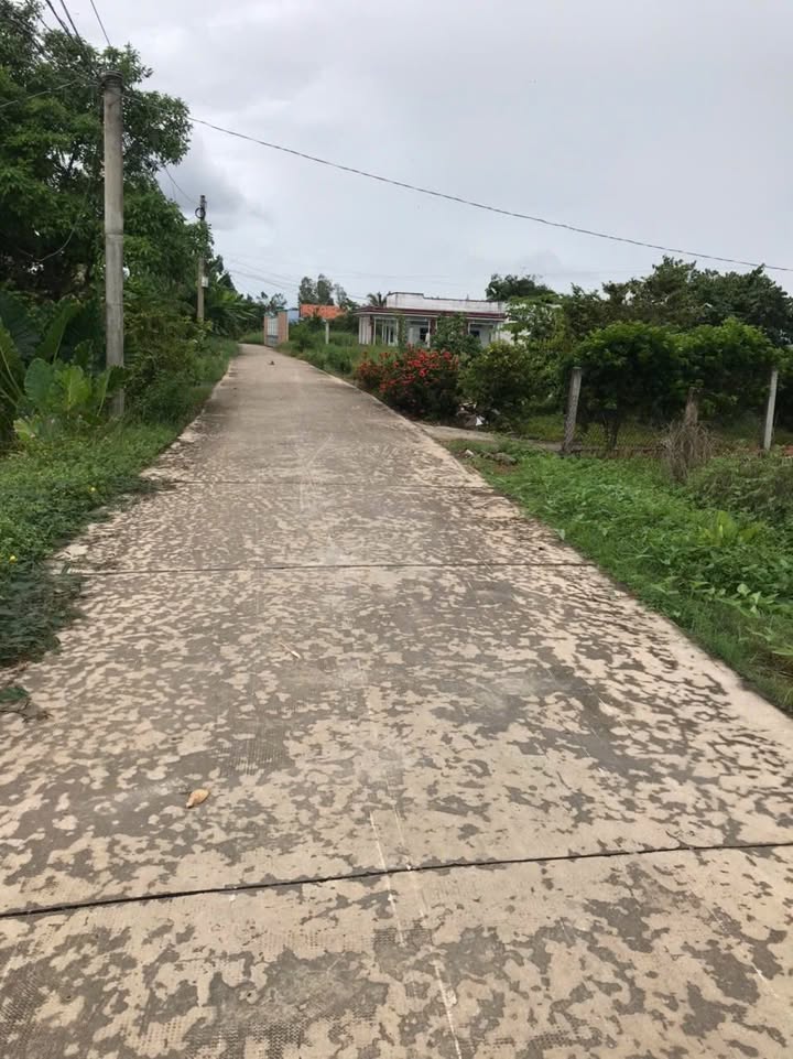 Nhà cấp 4 mặt tiền đường Xóm Lá, huyện Cần Giuộc 325m² giá 2.22 tỷ - Chính chủ bán gấp!