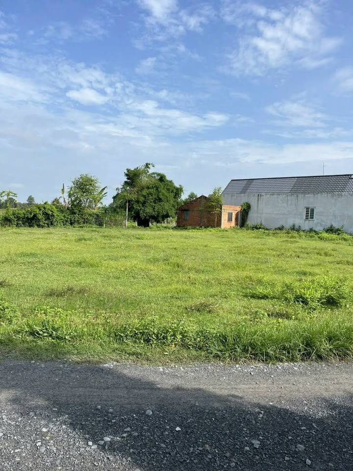 Đất trồng cây 1000m² tại Tân Mỹ, Đức Hòa - Giá 2.6 tỷ, sổ đỏ chính chủ!