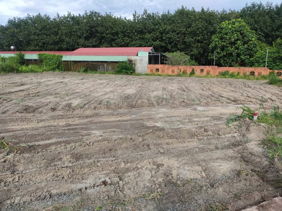 Đất nền khu phố 9 Đoàn Thị Điểm, Chơn Thành 255m² - Giá tốt bất ngờ!