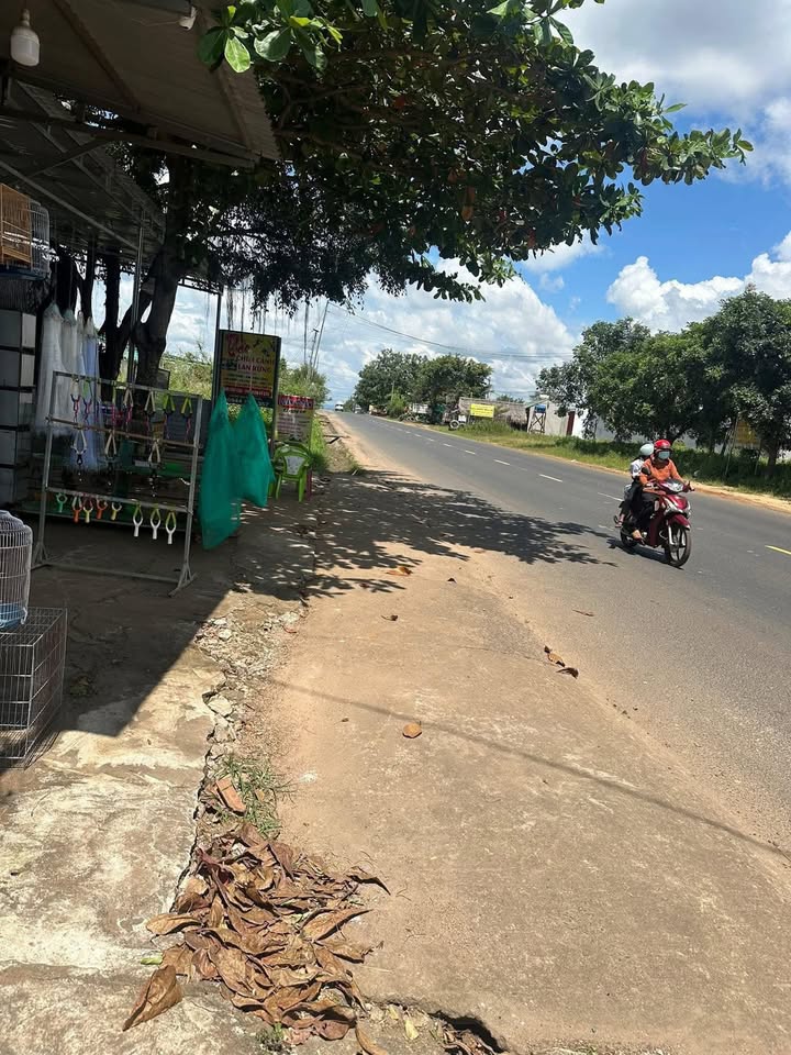 Nhà mặt tiền Quốc lộ 14, Ea H'Leo, 450m² giá 1.175 tỷ - Kinh doanh sầm uất!