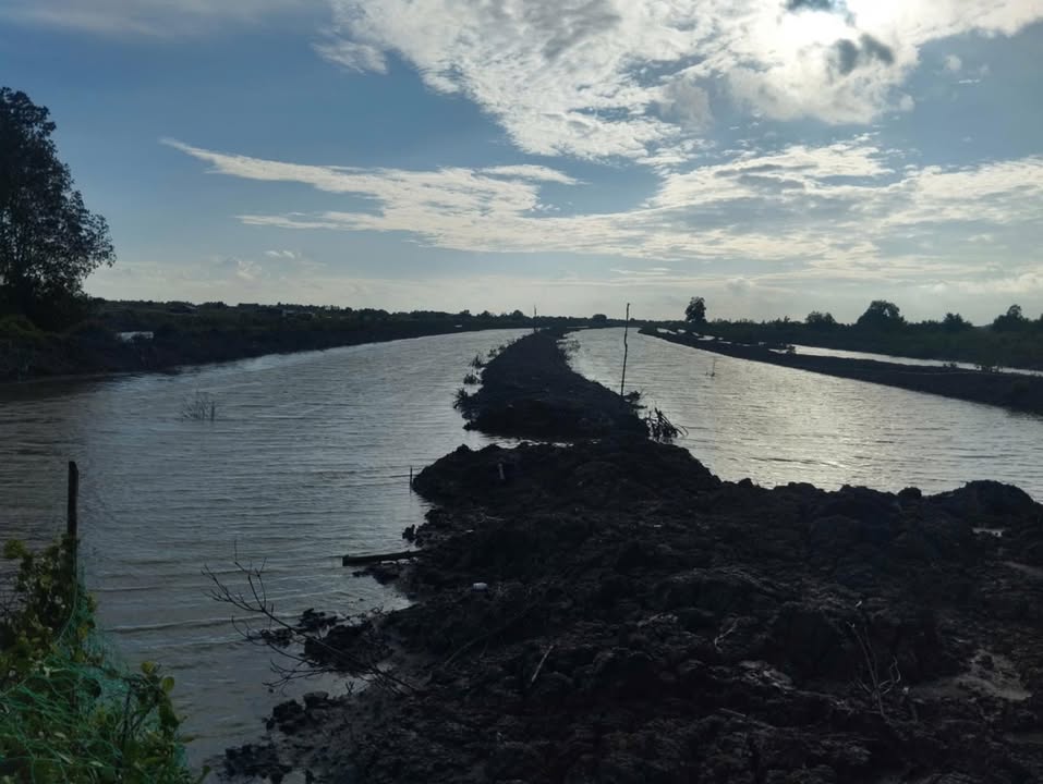 Đất nền 44 công xã Tân Tiến Cà Mau, giá 3.52 tỷ - Mặt tiền 40m, giao thông thuận lợi