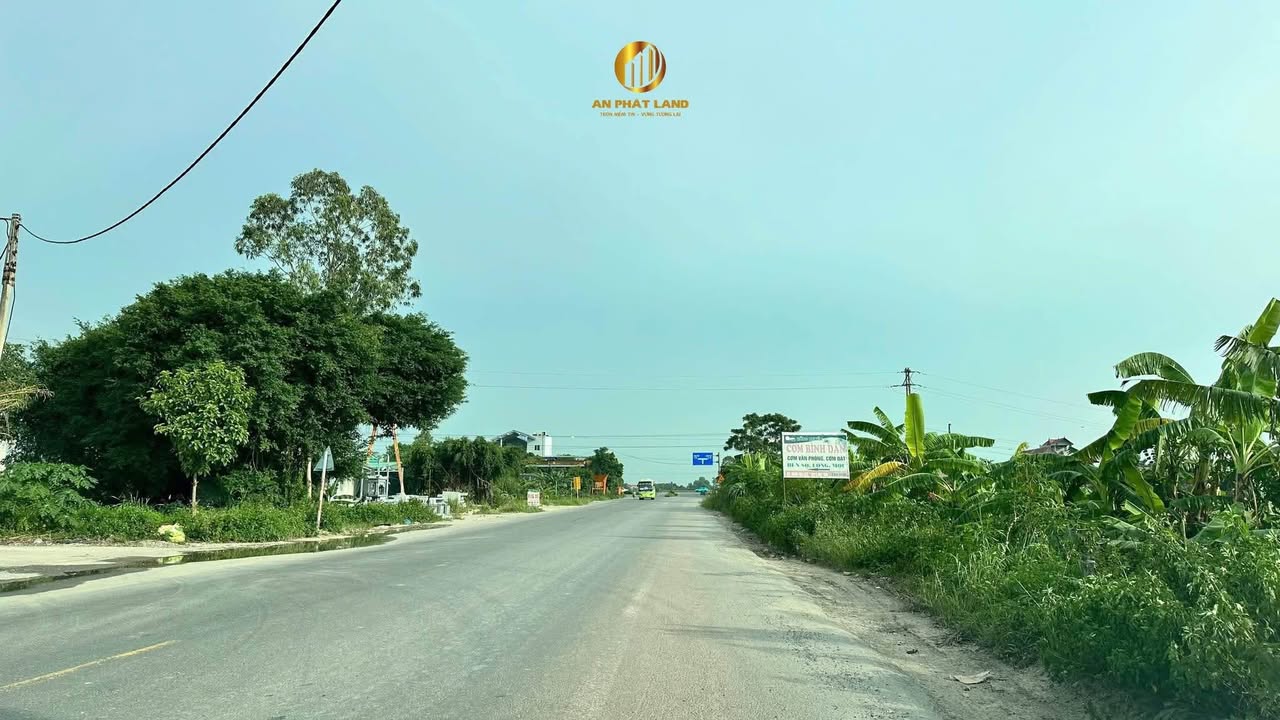 Đất nền khu phân lô Xóm 7, Mai Sơn, Ninh Bình 250m² - Hướng Đông, giá chỉ 5 tỷ!