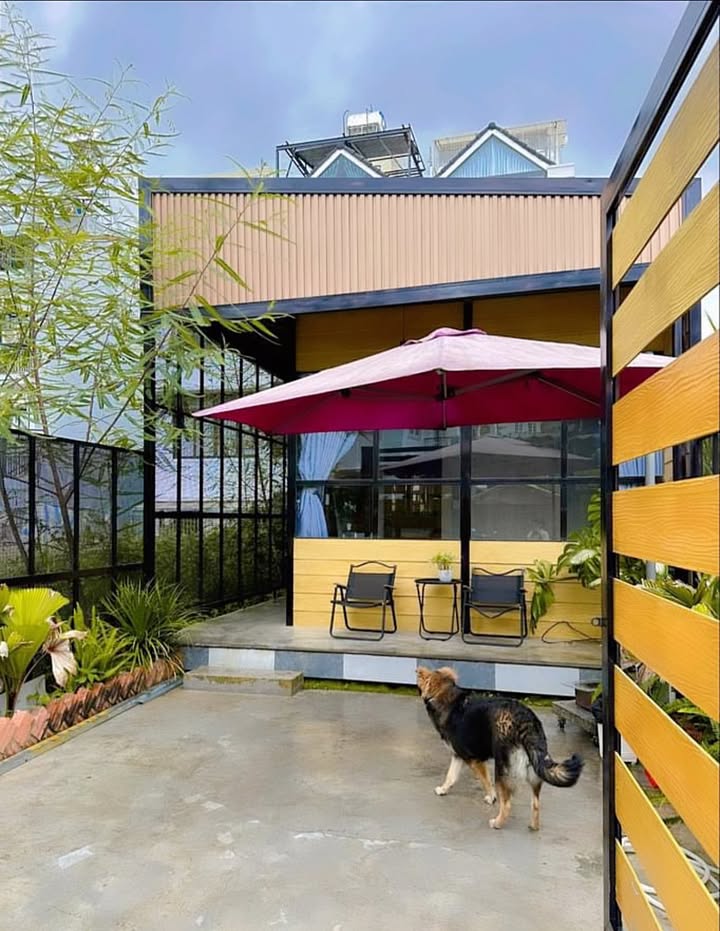 Nhà nguyên căn Đà Lạt 2PN giá chỉ 900.000 VND - Không gian xanh mát cho gia đình!