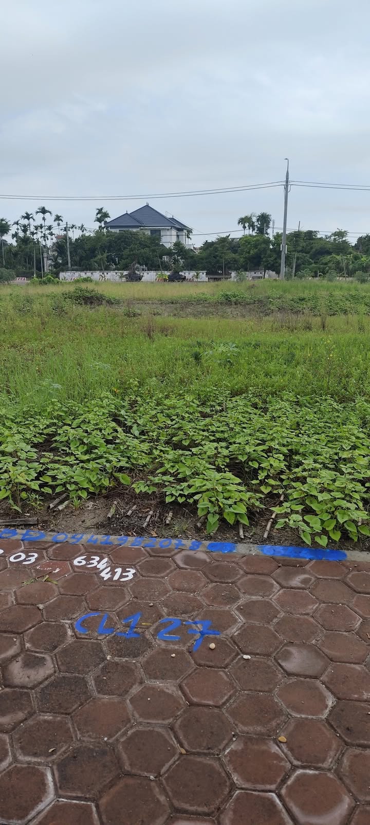 Đất nền xã Hải Phương 100m² giá 2 tỷ - Sổ đỏ chính chủ, vị trí tiềm năng!