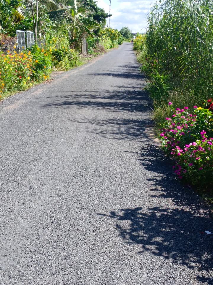 Đất nền dân sinh Cái Bè 42m² giá 180 triệu - Đầu tư sinh lời ngay!