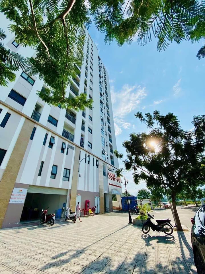 Shophouse SSH08 KĐT Hà Quang 1 56,46m² giá 10 triệu - Mặt tiền đẹp, kinh doanh thuận lợi!
