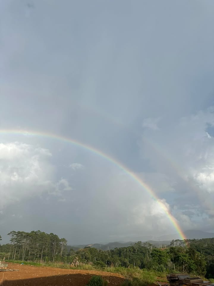 Đất nền Võ Thị Sáu, Măng Đen 350m² giá 12 tỷ - Đầu tư sinh lời tiềm năng!