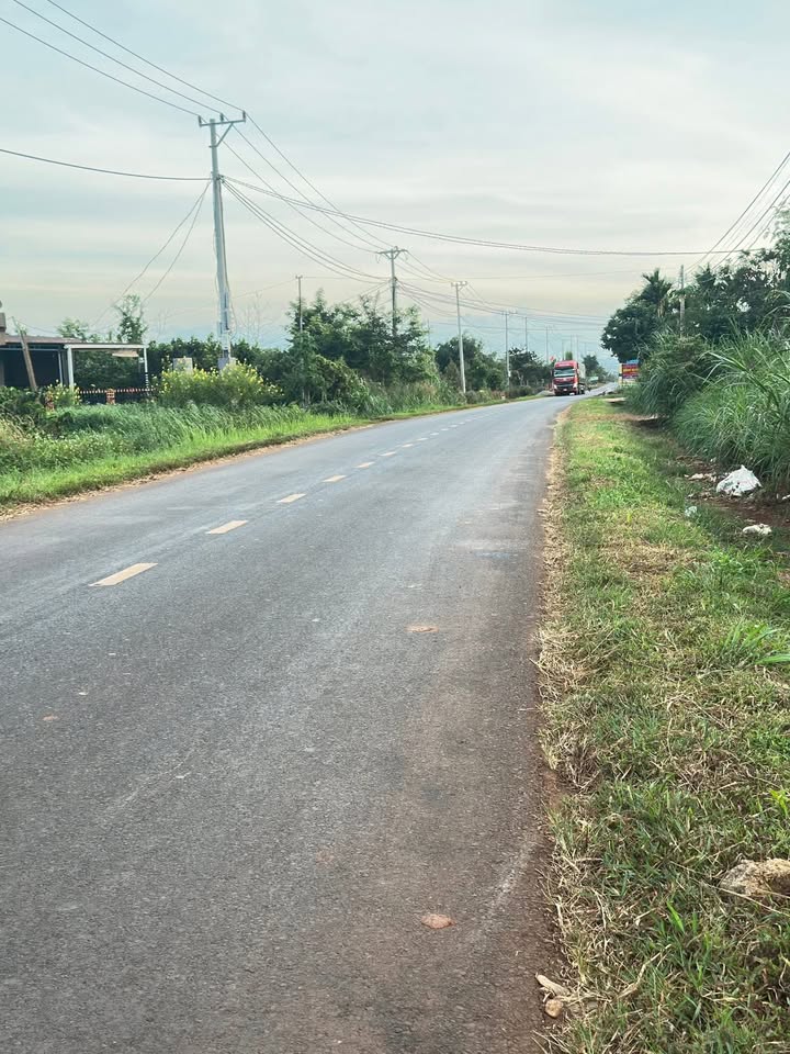 Đất nền chính chủ tại Quốc lộ 29, xã Tam Giang, 330m² chỉ 220 triệu - Cơ hội đầu tư tốt!