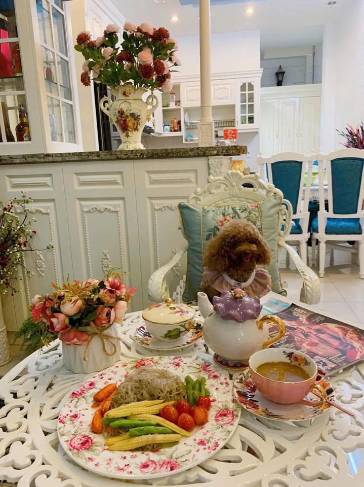 Cho thuê nhà phố Nguyễn Cư Trinh, quận 1, 84m² giá 35 triệu - Thiết kế tân cổ điển sang trọng!