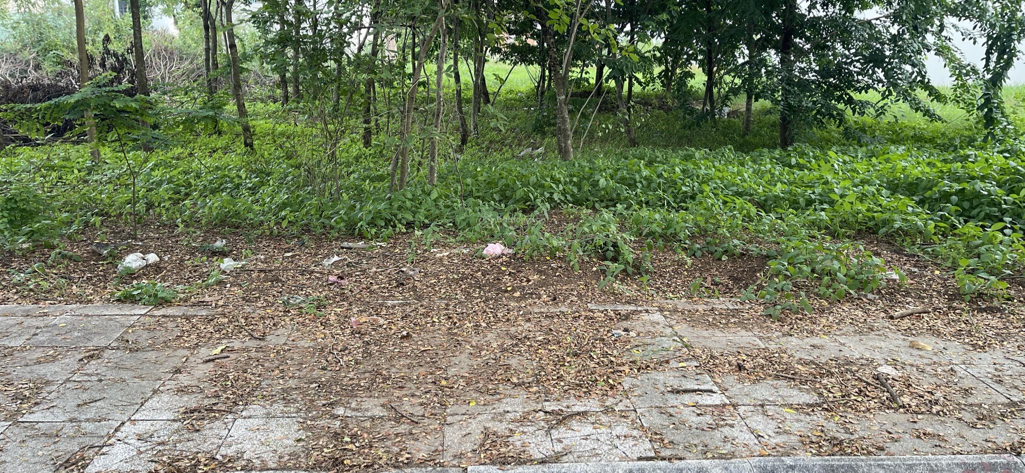 Đất Villa Thủ Thiêm, Quận 2, 230m² giá 35.65 tỷ - Vị trí vàng để đầu tư!