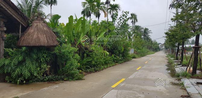 Đất chính chủ Cẩm Thanh, Hội An 1210m² giá 12 tỷ - Tiềm năng đầu tư vượt trội!