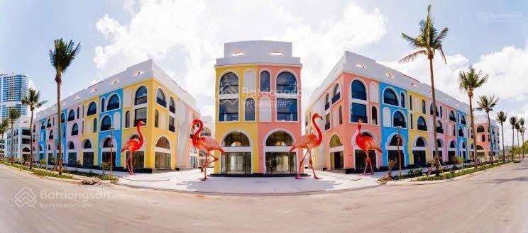 Bán Shophouse 3 Tầng Vega City Nha Trang 55m² giá 8,5 tỷ - Pháp lý rõ ràng, cơ hội đầu tư tuyệt vời!