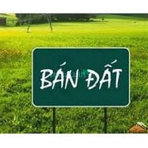 Đấu giá lô đất 551.6m² tại Phường Tân Mai, Biên Hòa - Giá 3 tỷ VND hấp dẫn!