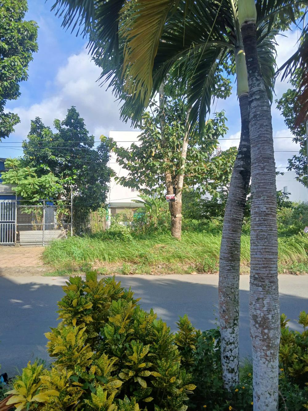 Đất nền 97A2 đường Bùi Quang Trinh, KDC Phú An, Cần Thơ 100m² - Hướng Tây Bắc, giá chỉ 3.5 tỷ!