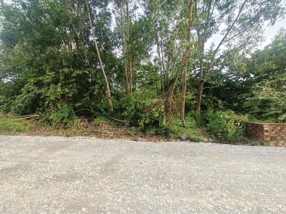 Đất bán xã Phước An, Nhơn Trạch 830m² - Hẻm xe hơi tránh nhau giá chỉ 5.2 tỷ!