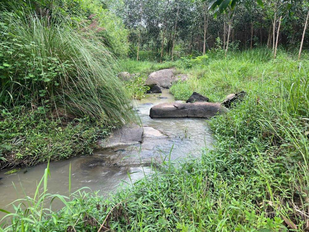 Đất 1000m² tại Ninh Hòa - Giá chỉ 210 triệu - Đầu tư an toàn!