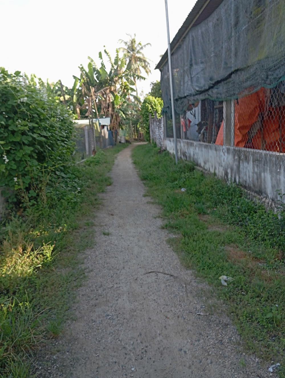 Đất nền Thăng Bình, Quảng Nam 124m² giá 650 triệu - Đầu tư sinh lời ngay!