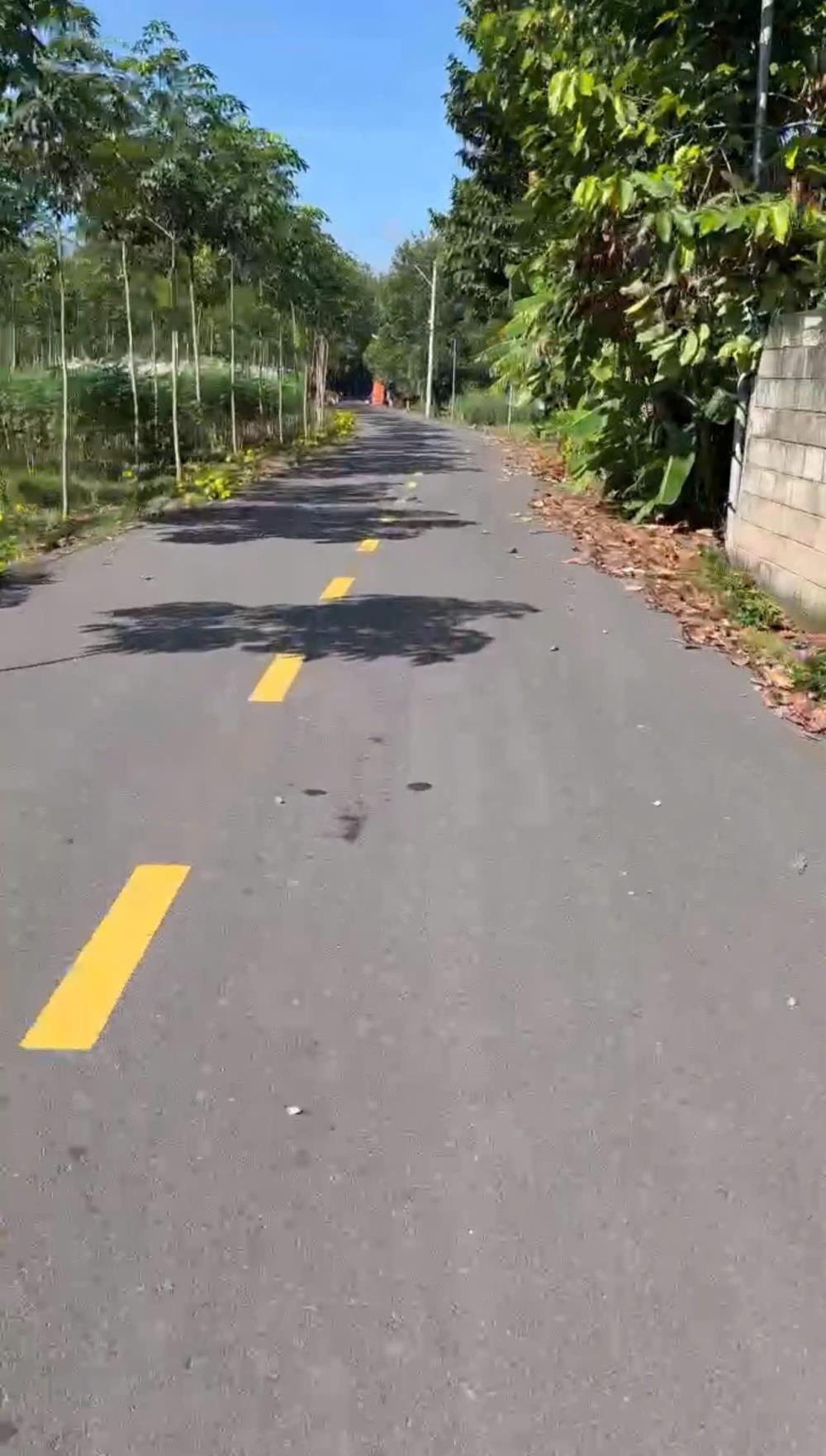 Đất nền xã An Thái, Phú Giáo 500m² giá 1.3 tỷ - Sổ hồng riêng, xây nhà ngay!