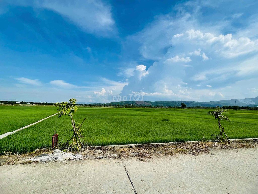 Đất nông nghiệp Hòa Phong 1351m² giá 2 tỷ - Cần vốn làm ăn bán gấp!