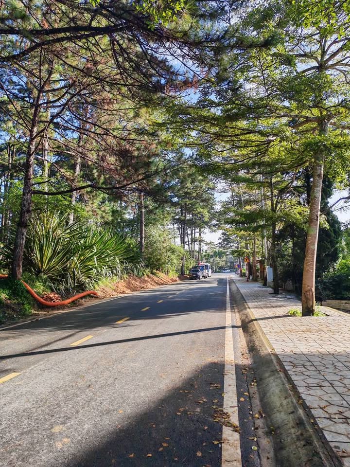 Đất mặt tiền Khởi Nghĩa Bắc Sơn, Đà Lạt 456m² giá 58 tỷ - Cơ hội đầu tư sinh lời cao!