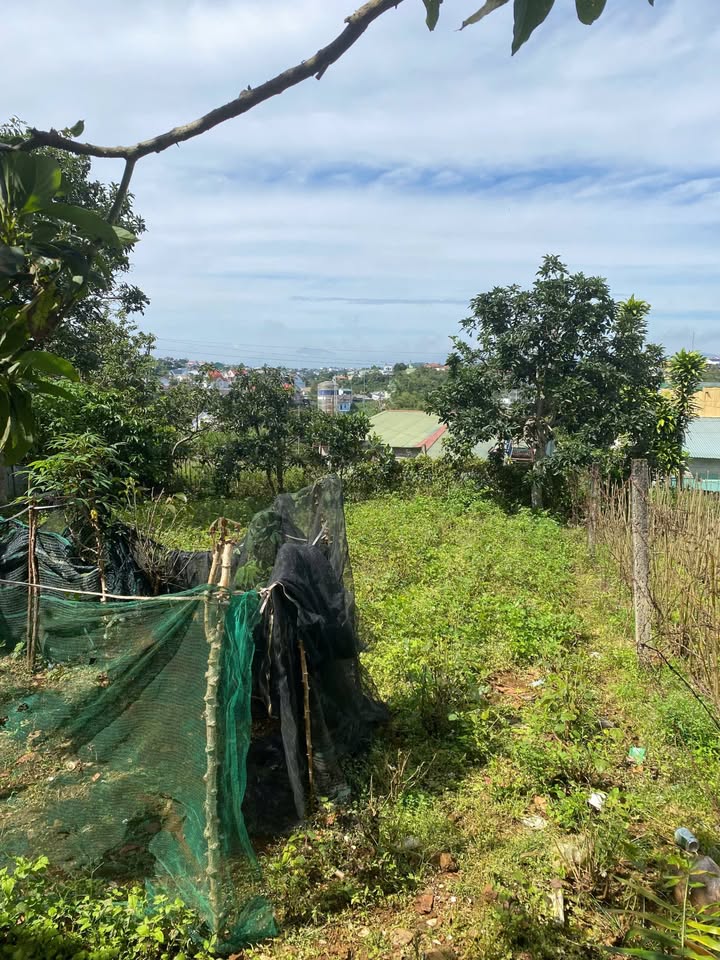 Đất nền Bảo Lộc 345m² giá 3.5 tỷ - Hướng đẹp, mặt tiền ô tô