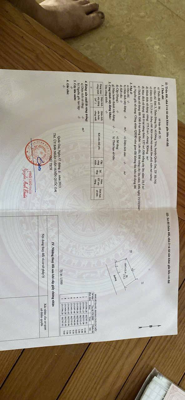 Đất nền thổ cư 175m² đường Trục Chính thôn Đông Hạ - Đầu tư sinh lời giá tốt!