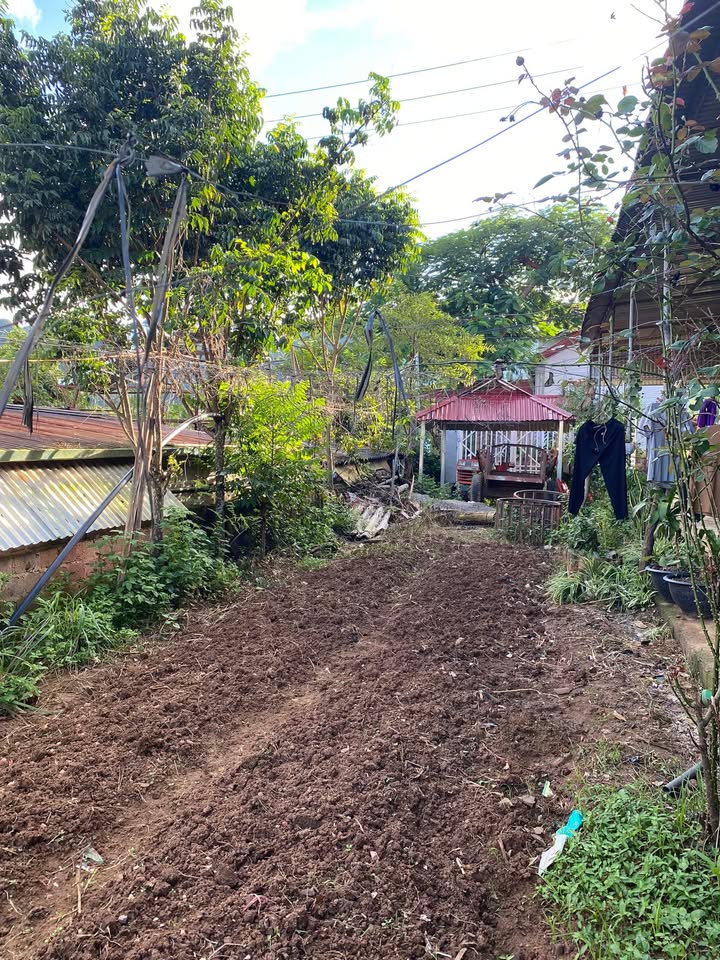 Đất nền chính chủ Bản Áng, Mộc Châu 206,25m² - Vị trí đắc địa cho homestay!