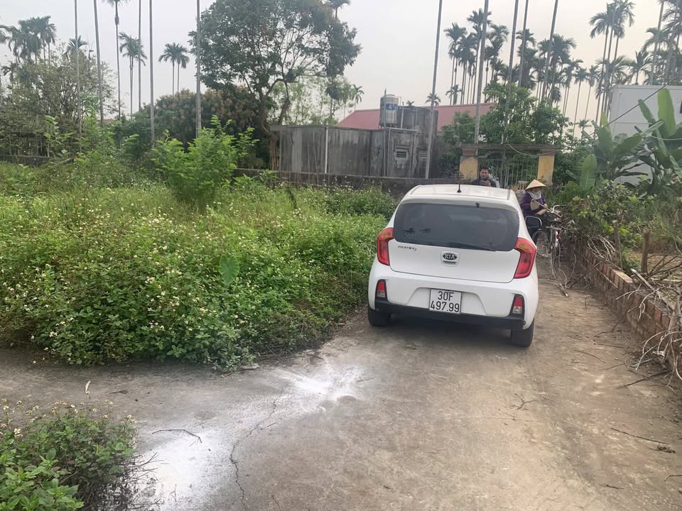 Đất nền Lâm Động Thủy Nguyên 66m² giá 900 triệu - Cơ hội sở hữu hiếm có!