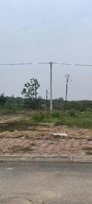 Đất đấu giá X1 Tam Đồng 145m² giá 7.25 tỷ - Lô góc hai mặt tiền đẹp