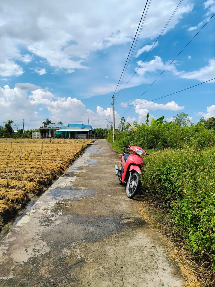 Đất nền mặt tiền đường Tân Xã, phường Long Hoà, 254m² giá 650 triệu - Sổ hồng chính chủ!