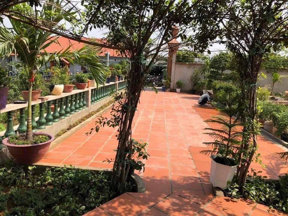 Cho thuê nhà vườn tại khu phố 4B, Trảng Dài 1000m² - Giá 12 triệu/tháng, tiện ích đa dạng!