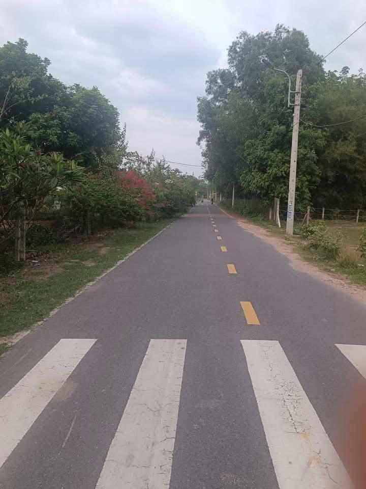 Đất vườn sầu riêng An Điền Bến Cát 3537m² giá 8 tỷ - Mặt tiền đường nhựa thông thoáng