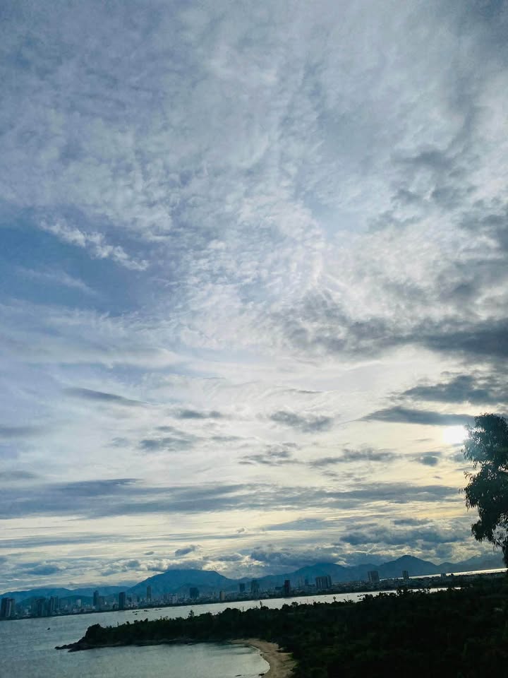 Nhà cấp 4 mặt tiền Tô Hiệu, Hòa Minh 141m² giá 5 tỷ - Cơ hội đầu tư vàng!