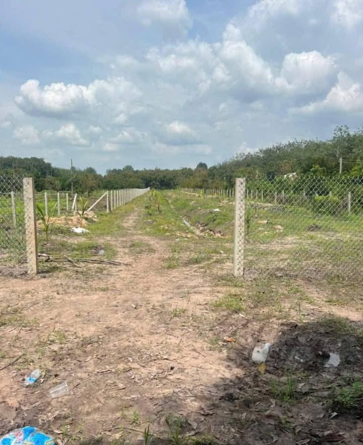 Đất Farm 3500m² tại Đường Trường Hòa, Tây Ninh - Giá chỉ 790 triệu!