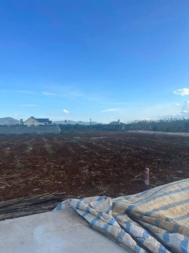 Đất nền đẹp Liên Hiệp, Đức Trọng, Lâm Đồng 198m² giá 1.25 tỷ - Tiềm năng tăng giá cao!