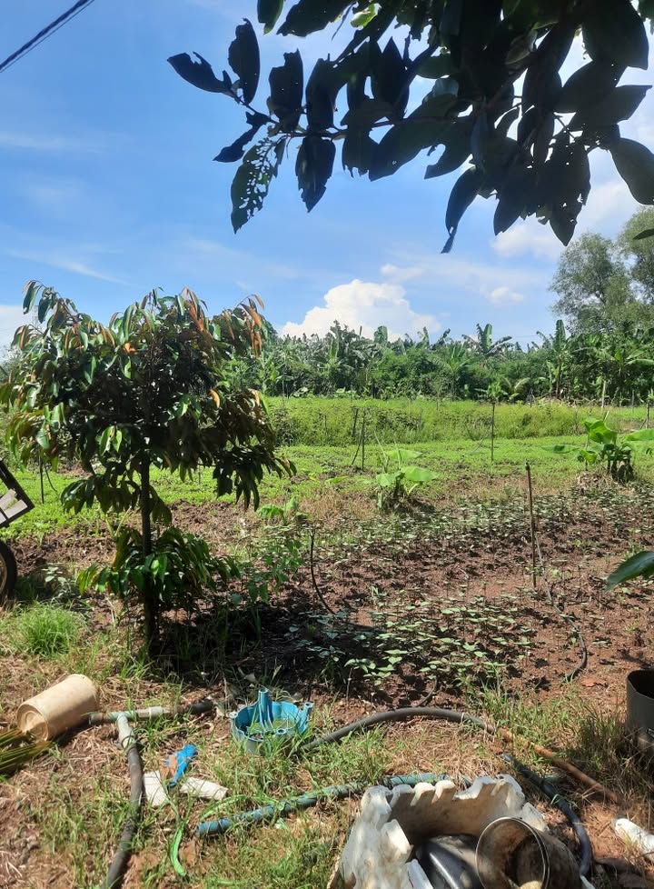 Đất farm xã Kim Thượng 21,600m² giá 2.7 tỷ - Sổ đỏ chính chủ, thương lượng tốt!