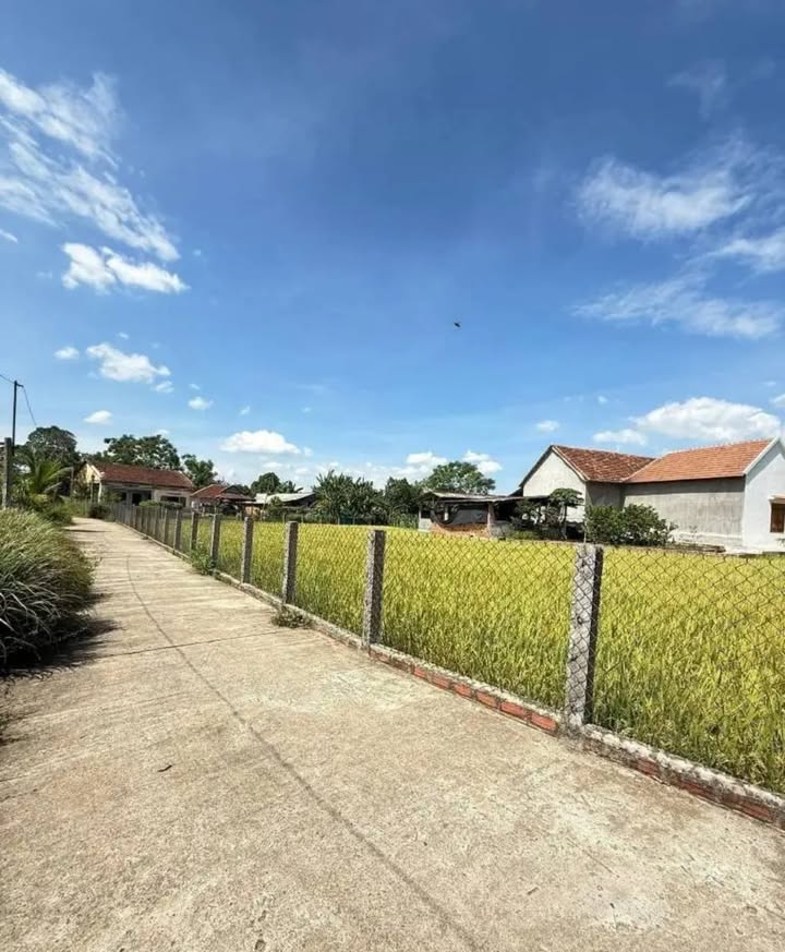 Bán đất Thọ Lộc 2 An Nhơn 120m² giá 299 triệu - Sổ hồng trao tay ngay!