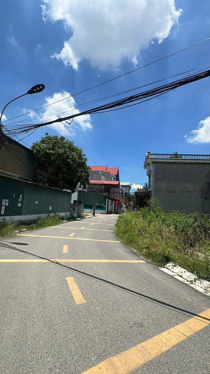 Đất lô góc 120m² tại Đồng Quang, Gia Lộc - Giá chỉ từ 2.5 tỷ!