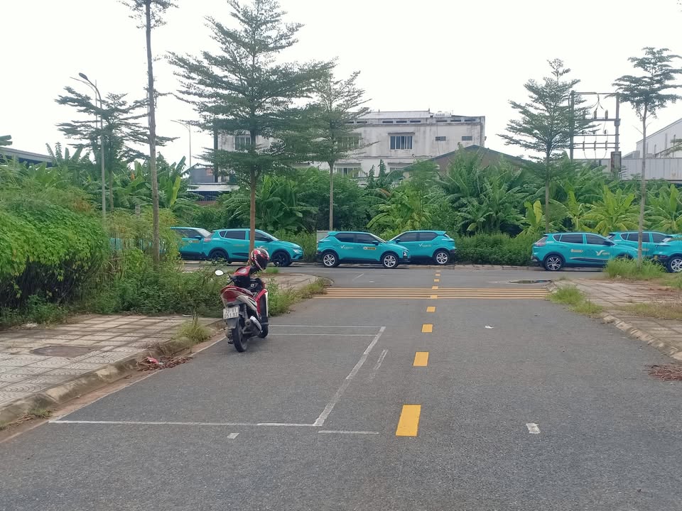 Đất nền phường Thanh Miếu, Việt Trì 100m² giá chỉ 2.5 tỷ - Vị trí đắc địa gần Siêu thị GO!