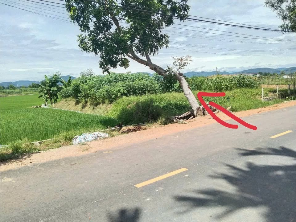 Đất nền xã Sơn Lộc, 200m² giá 1 tỷ - Đầu tư sinh lời ngay!