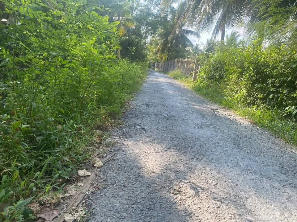 Đất mặt tiền đường Phú Vang, Vĩnh Long 897m² - Đầu tư sinh lời ngay!