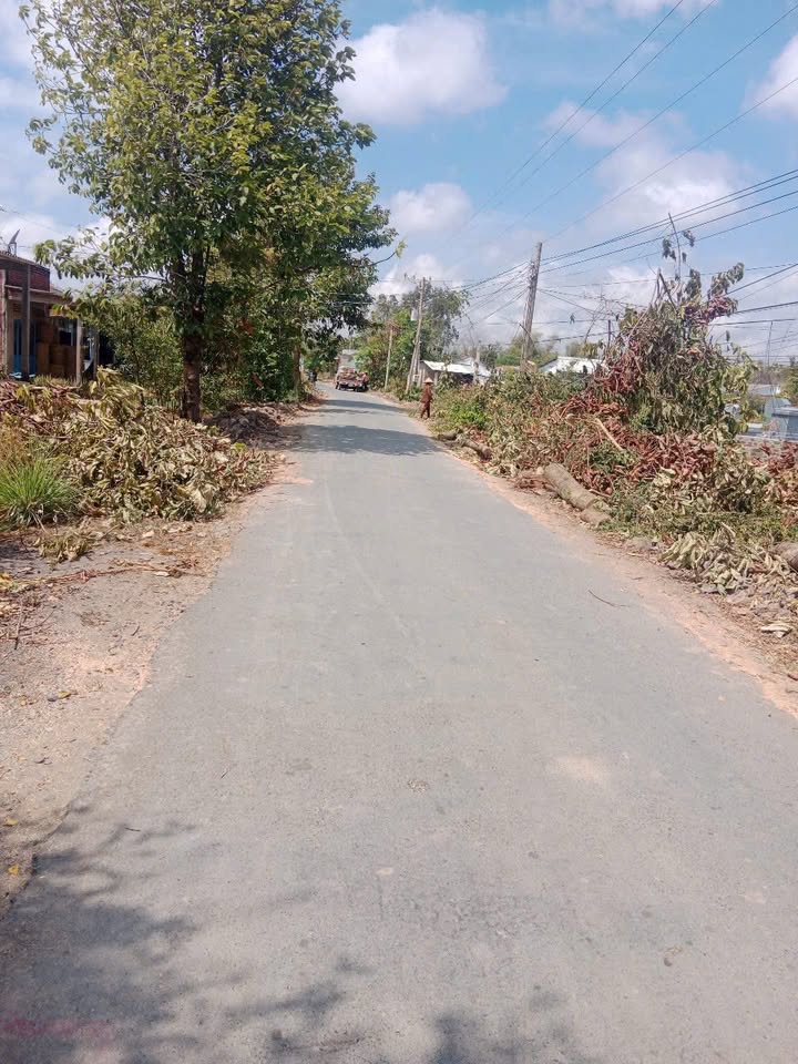 Đất nền tại xã Đại Hòa Lộc, huyện Bình Đại 264m² giá 800 triệu - Giao dịch nhanh chóng!