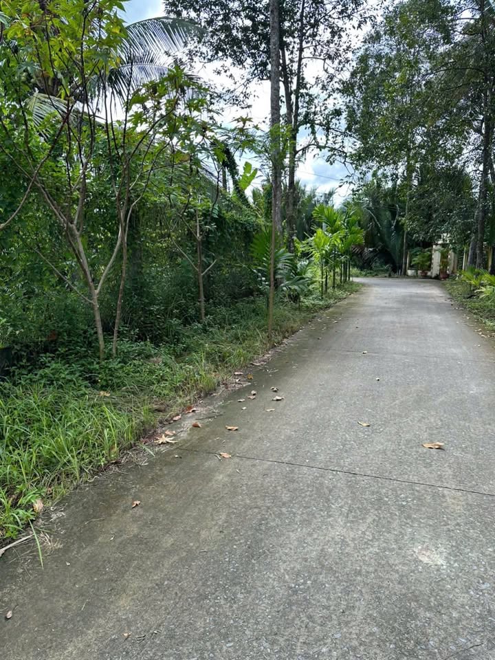 Đất mặt tiền đường Sơn Đông, Bến Tre 1500m² giá 3 tỷ - Tiềm năng đầu tư lớn!