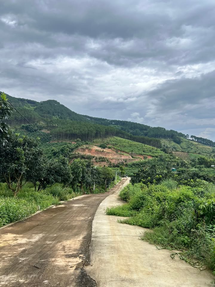 Đất nền xã Nam Ban Đà Lạt 620m² giá 1.55 tỷ - Cơ hội đầu tư tuyệt vời!