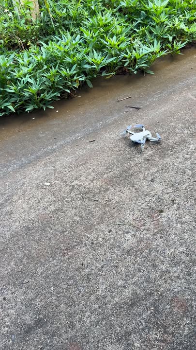 Đất nền đẹp xã Đông Thanh, Lâm Hà 315m² giá chỉ 1.15 tỷ - Cơ hội đầu tư sinh lời!