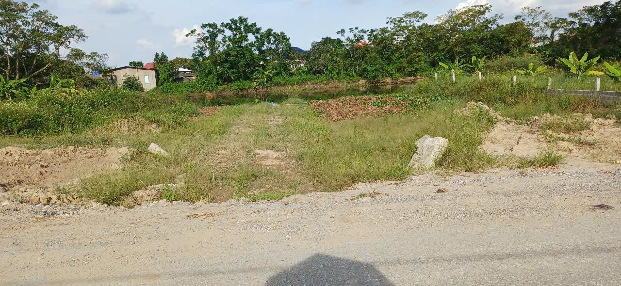 Đất nền Văn Xa, Đình Cao, Phù Cừ 133m² giá 1 tỷ - Cơ hội đầu tư tốt!